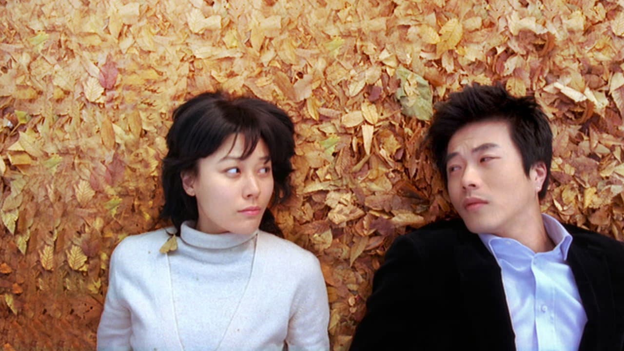 My Tutor Friend Collection