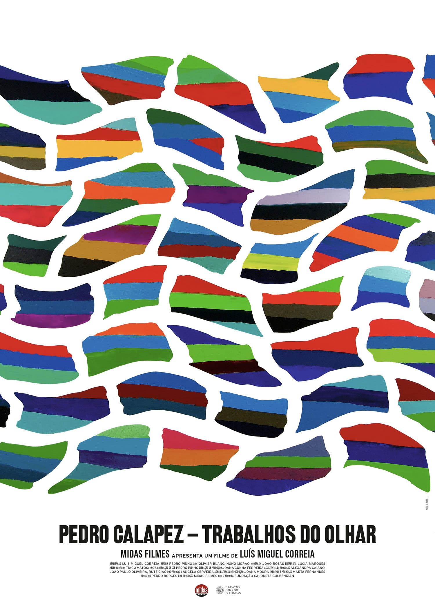 Pedro Calapez: Trabalhos do Olhar