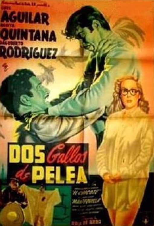 Dos gallos de pelea