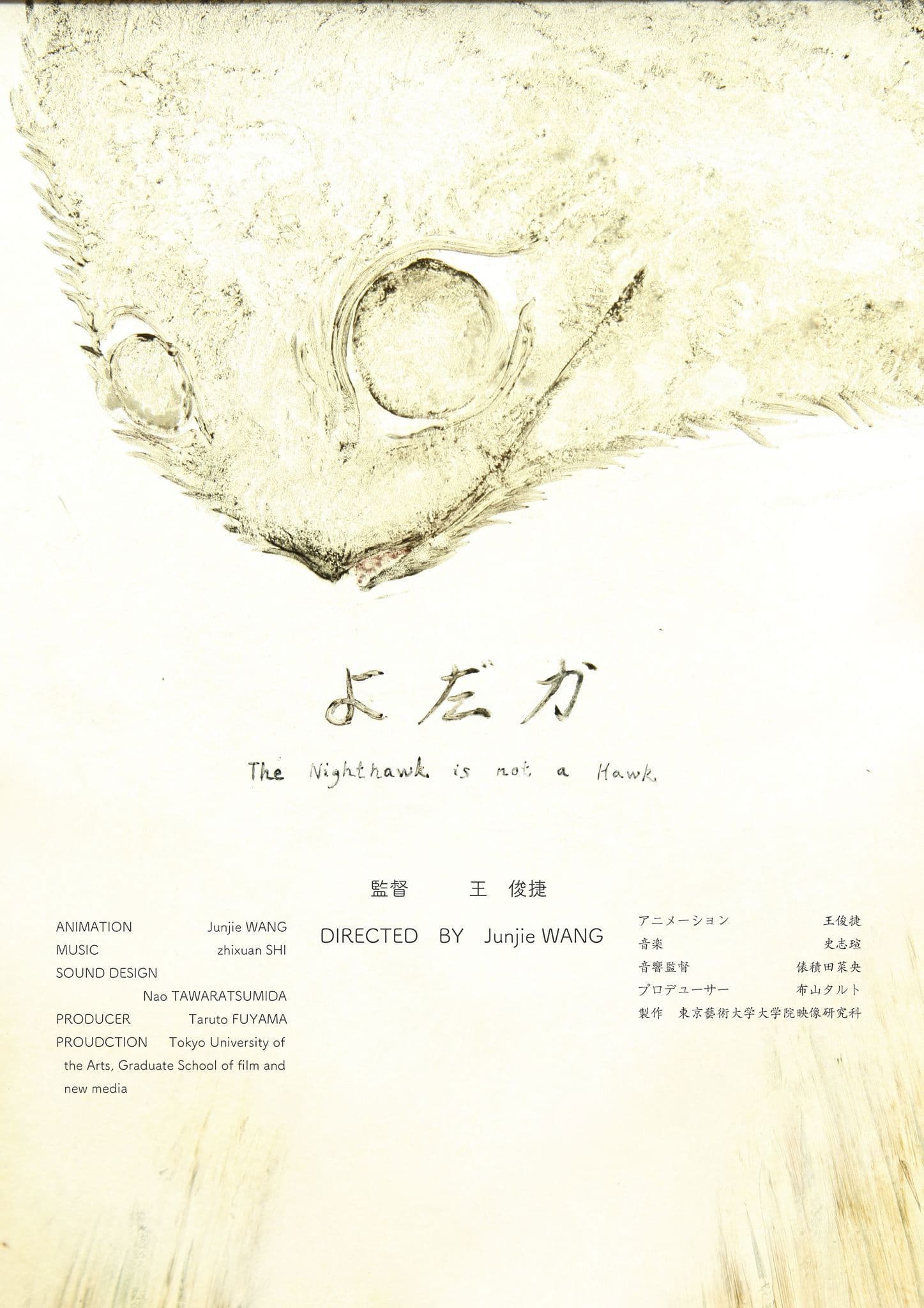 The Nighthawk Is Not a Hawk