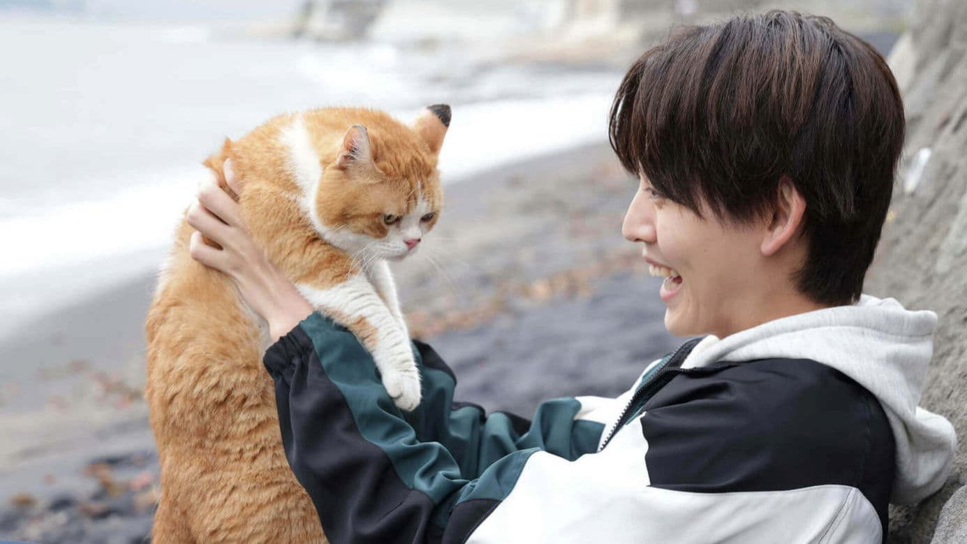 NEKOMIMI - Seaside Pet Detective -