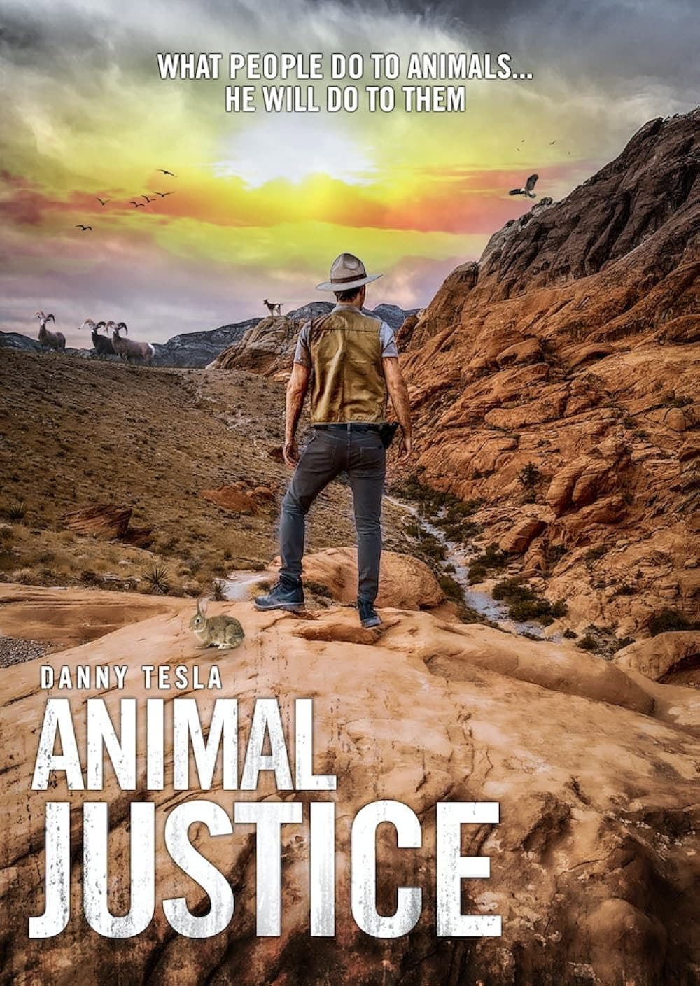 Animal Justice