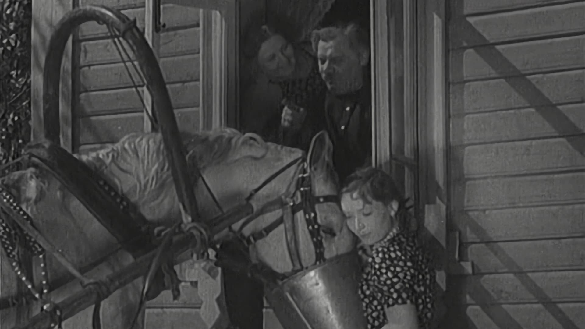 The Old Jockey