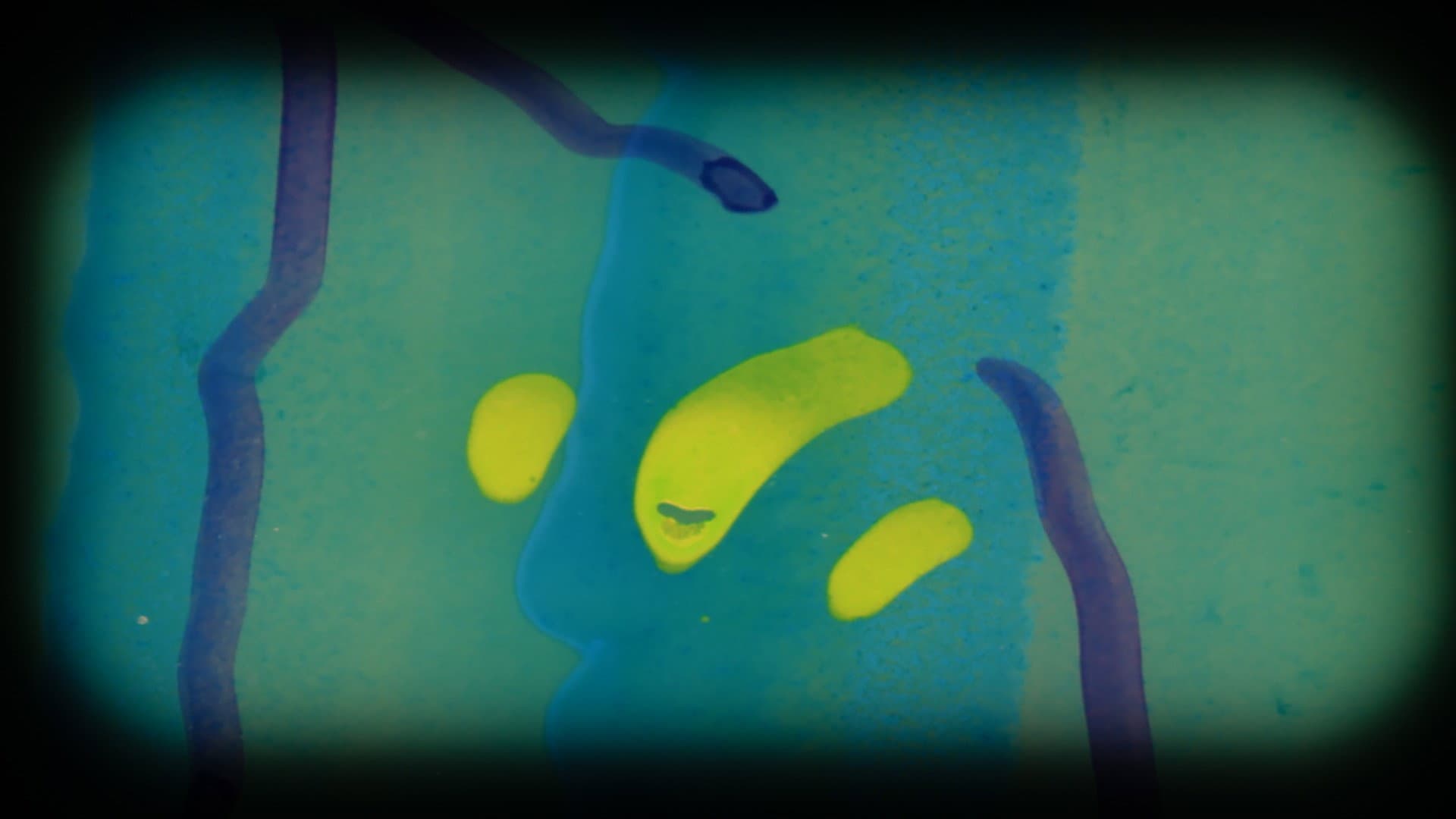 Western Blot!