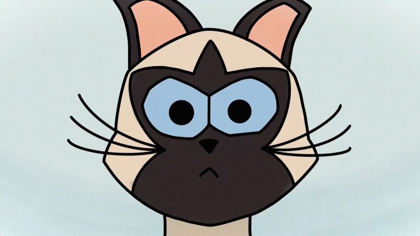 Braulio, The Cat