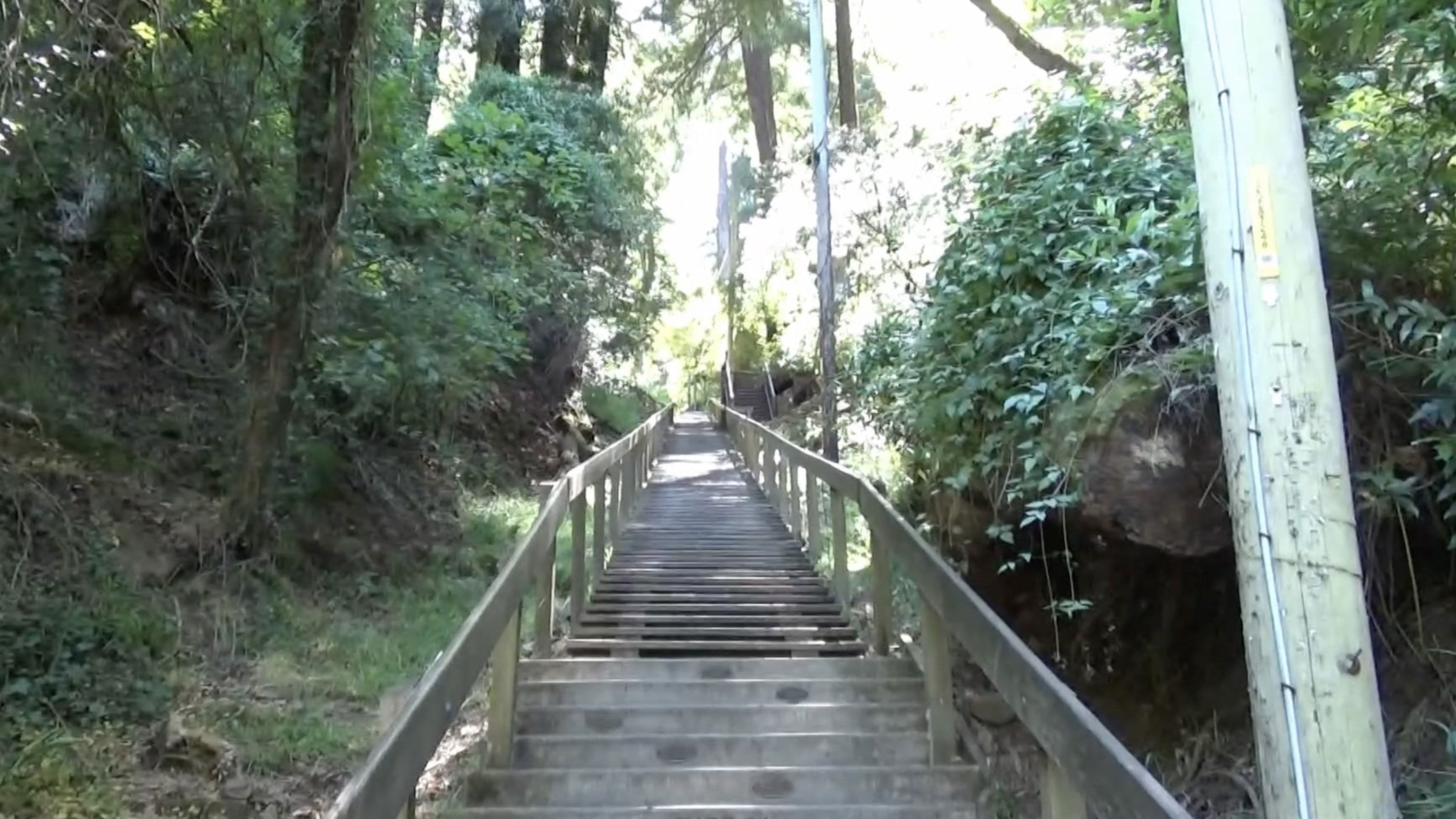 Ballad of a Wannabe Writer