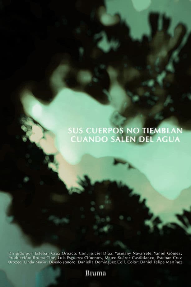 Their Bodies Don't Shake When They Come Out of the Water