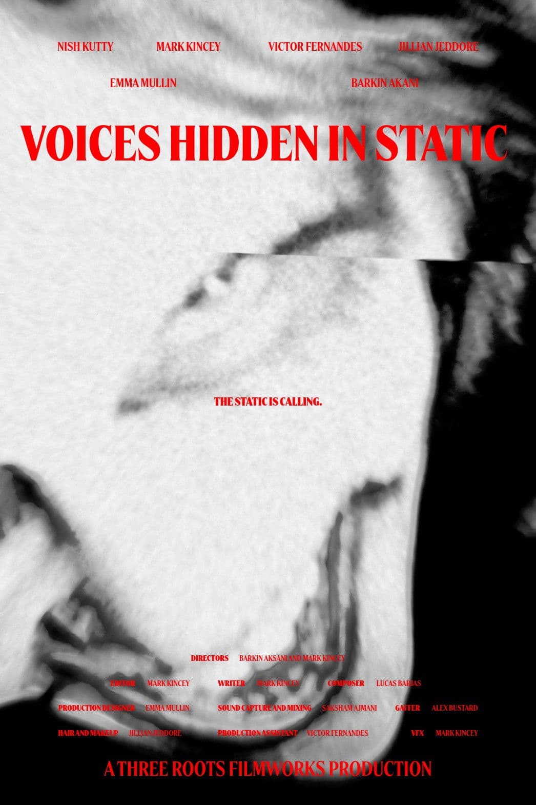 Voices Hidden in Static