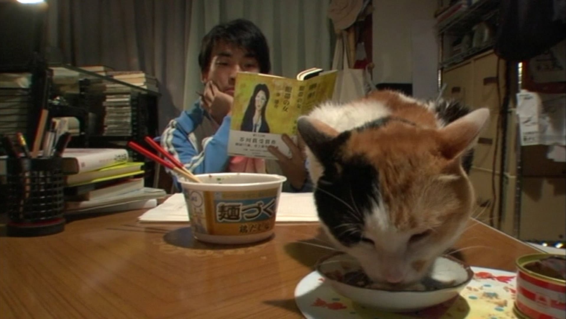 Cat and Goldfish Love Story