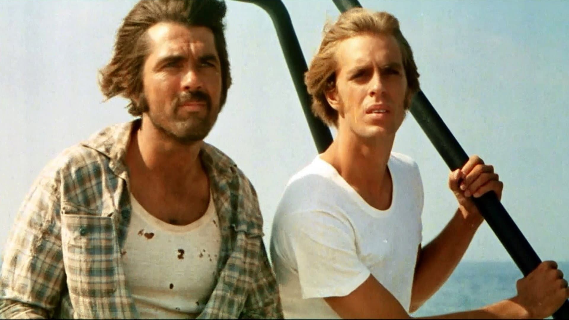 Run, Run, Joe!