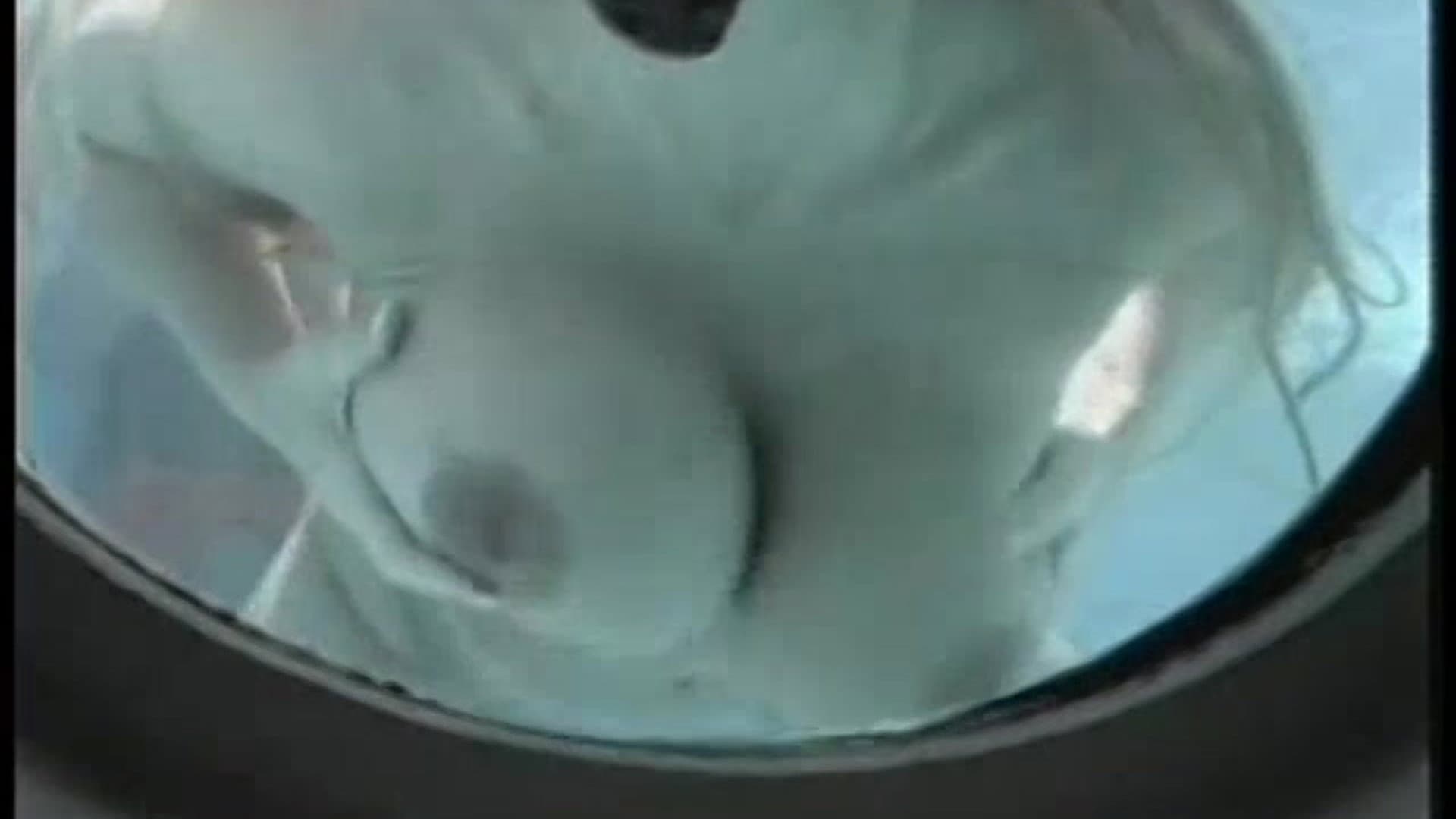 Ben Dover Does the Boob Cruise