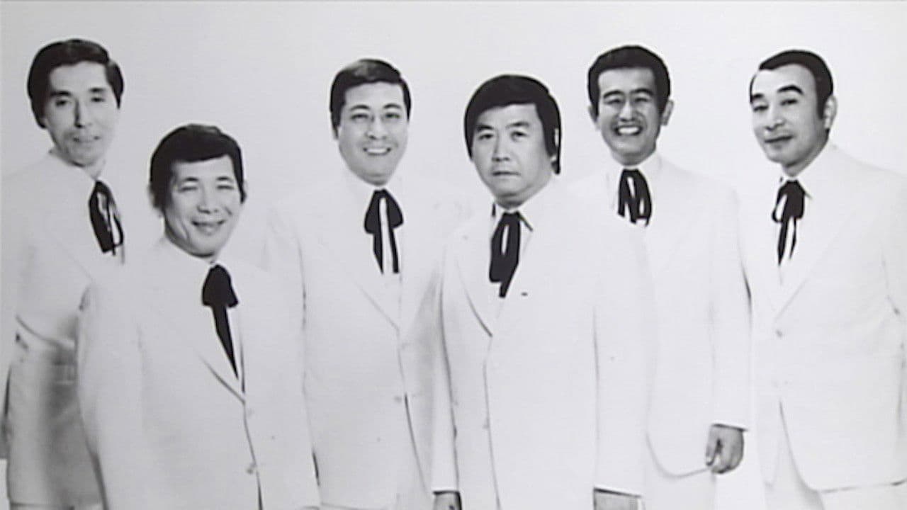 The Crazy Cats Collection