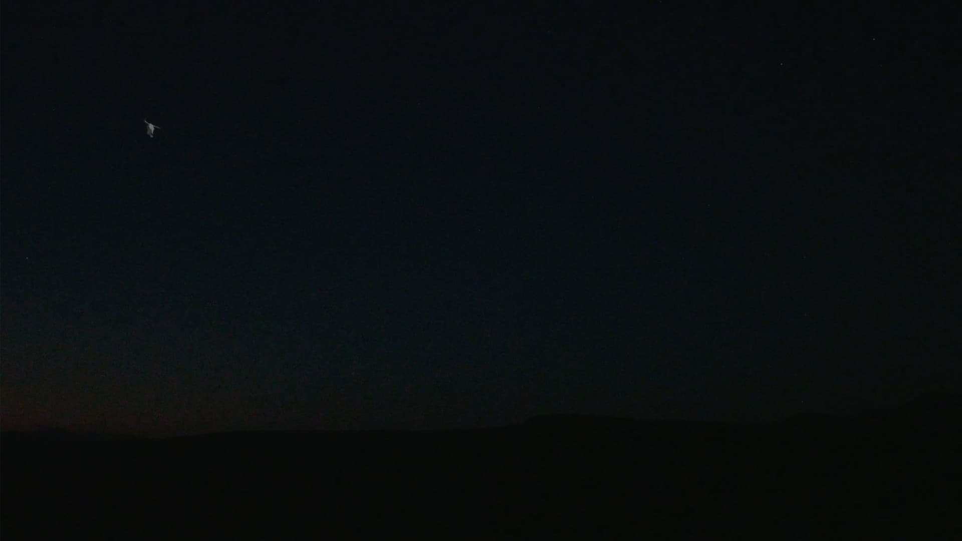 The Skull and the Arm