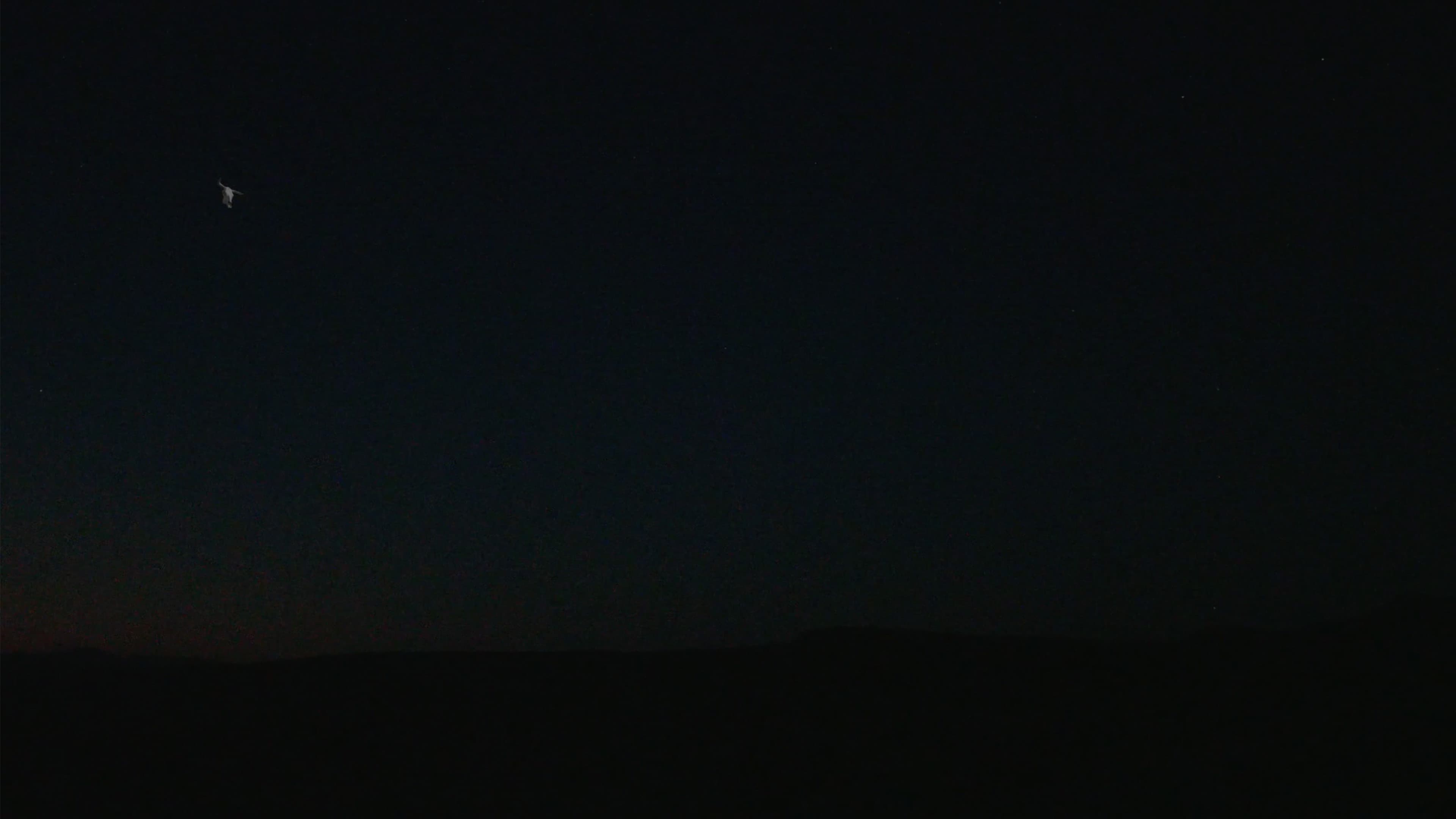 The Skull and the Arm