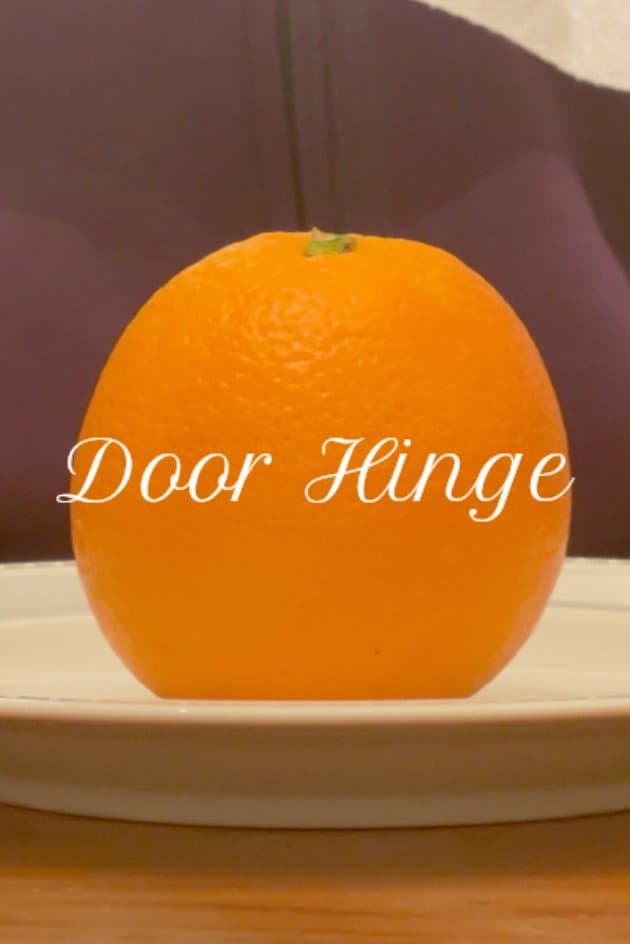 Door Hinge