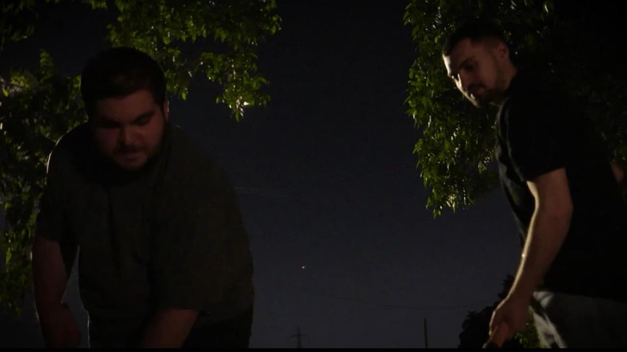 בלתמים בהפקה