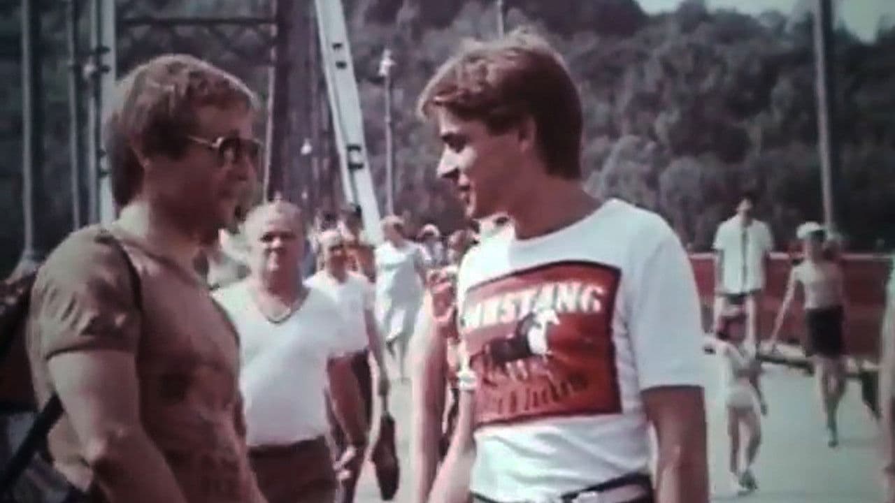 Not Only About Fashion