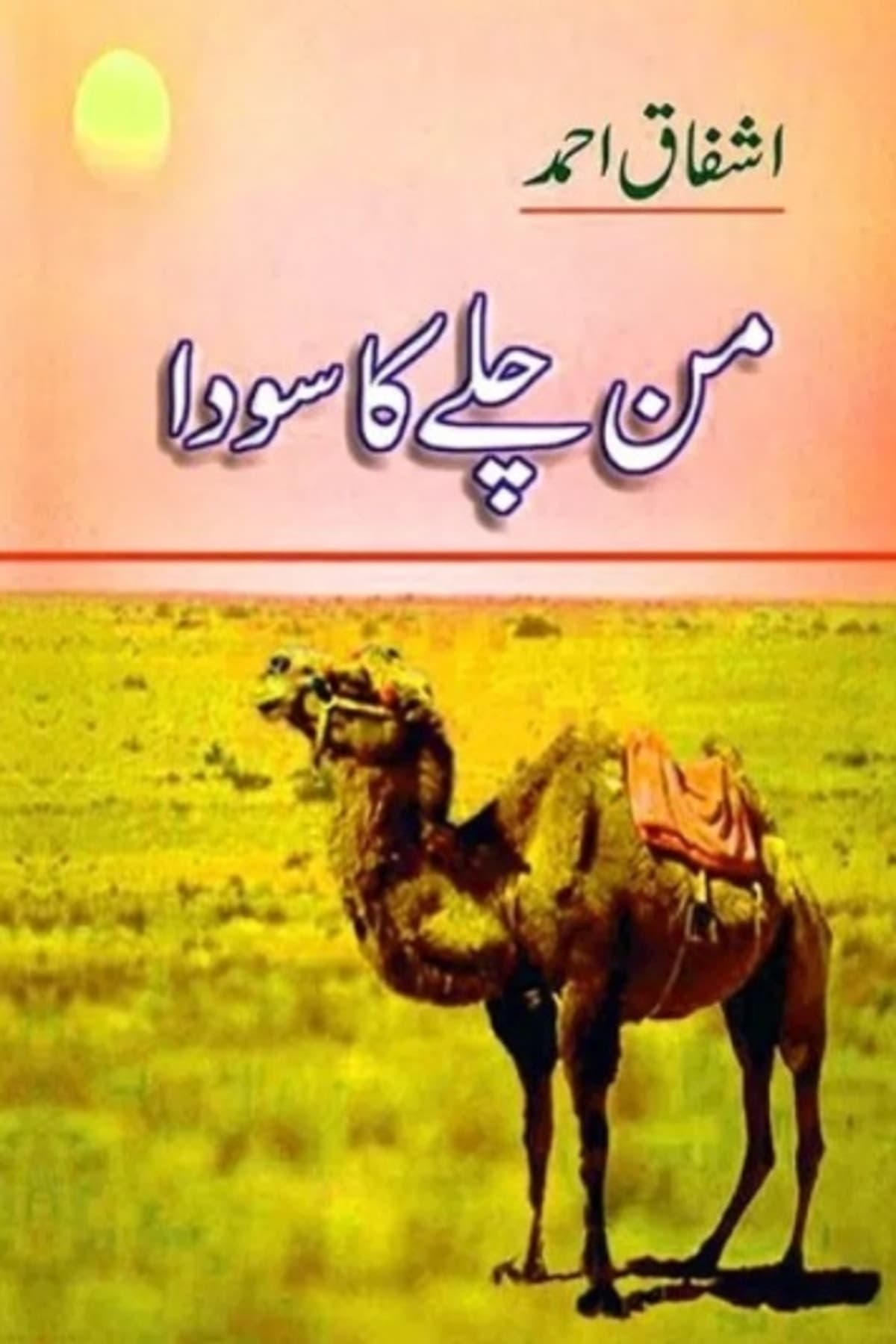 من چلے کا سودا