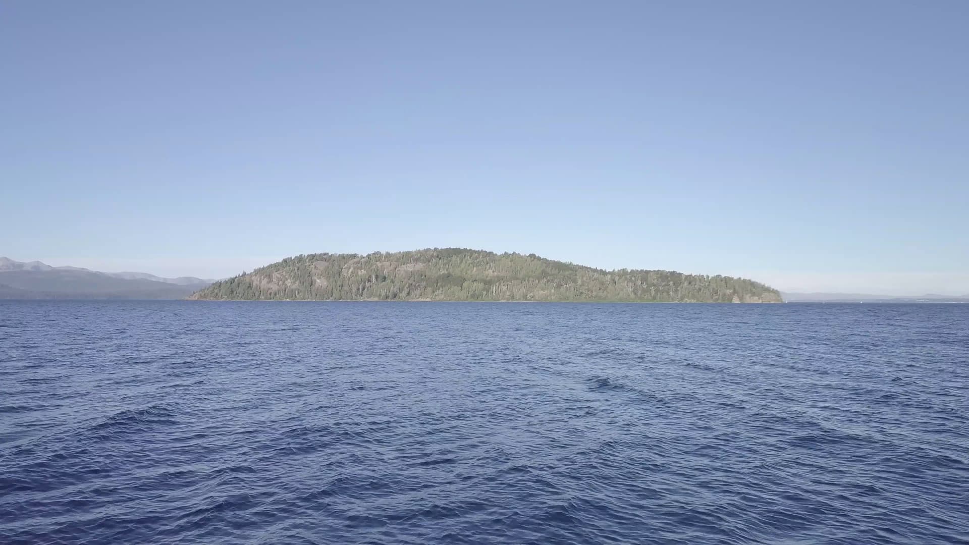 Huemul