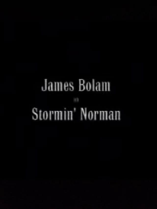 Stormin' Norman
