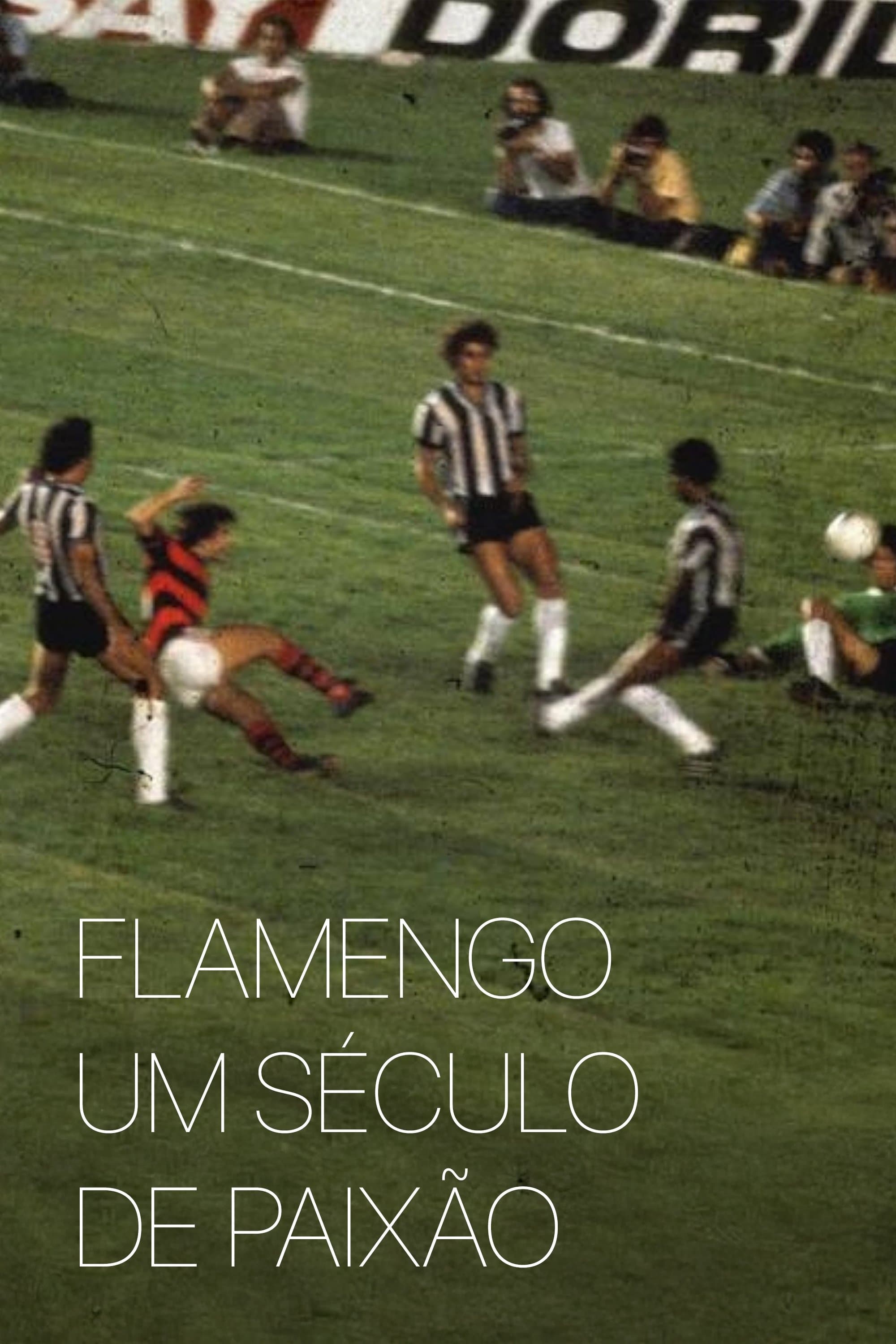 Flamengo: A Century of Passion