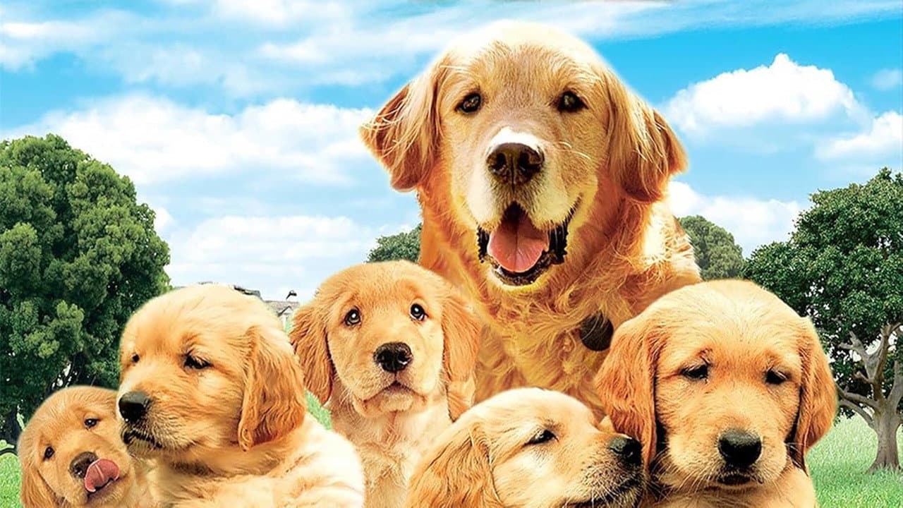 The Retrievers