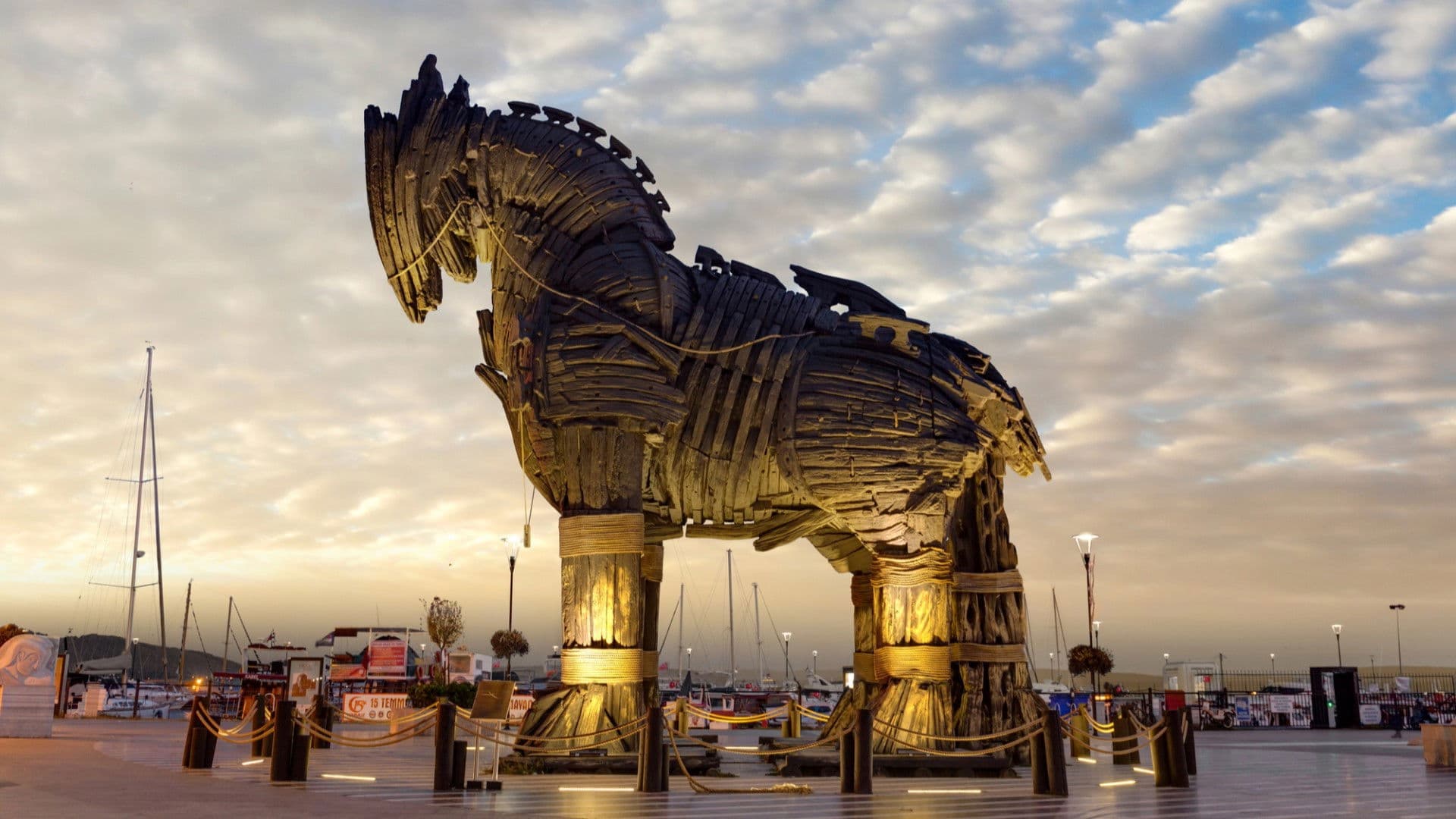 Troy Story