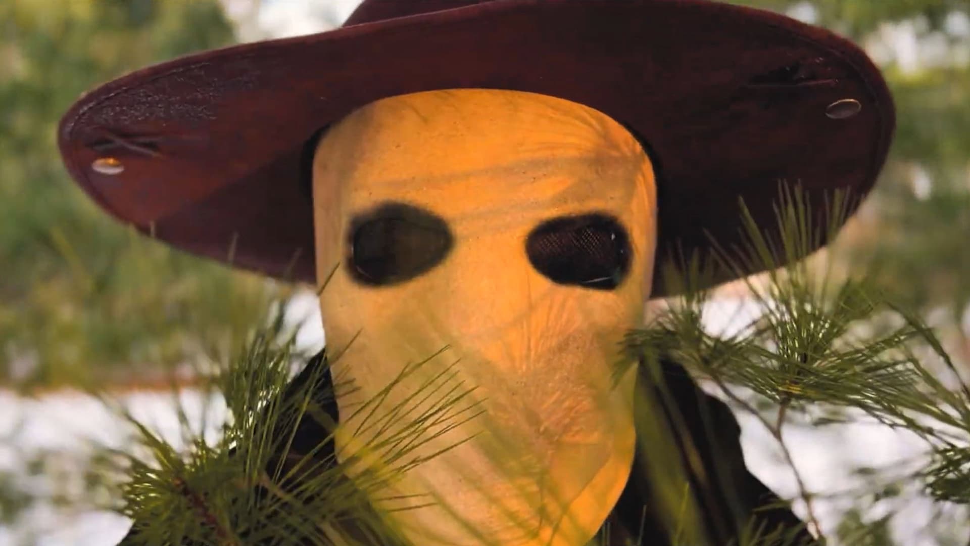 The Faceless Killer