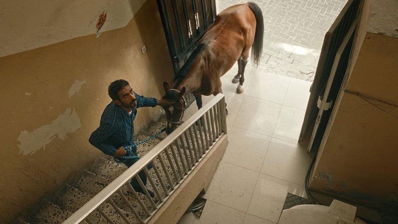 A Beautiful Excuse for a Deadly Sin