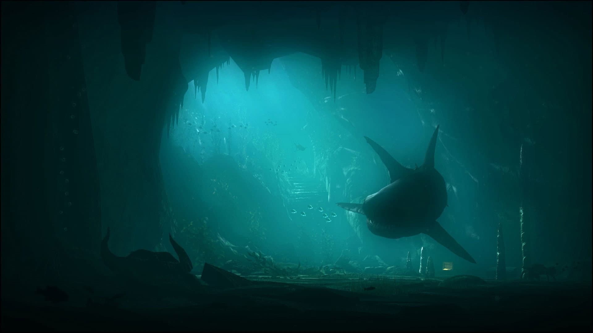 Megalodon Collection