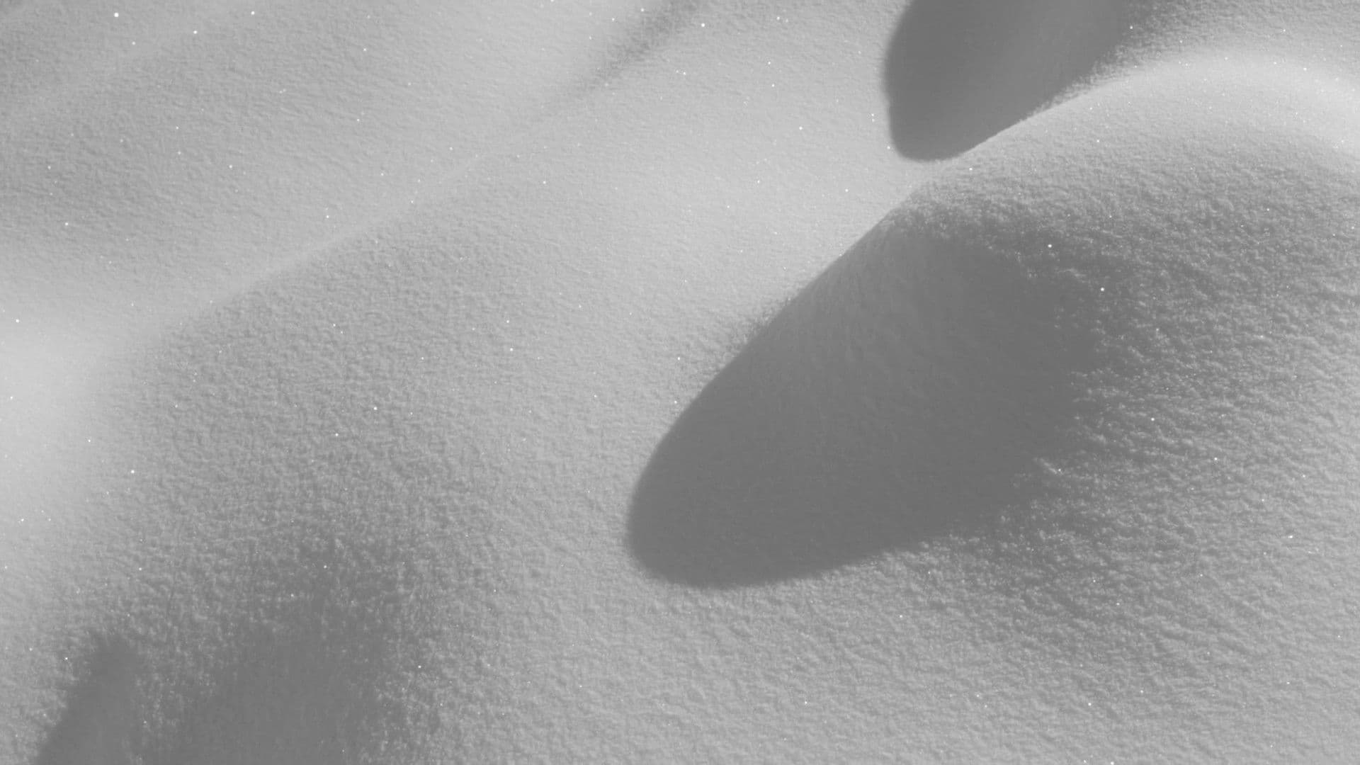 Laughing Fishes Gave Me a Lift