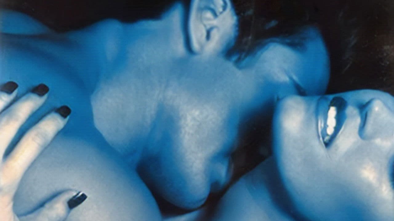 Animal Attraction Collection