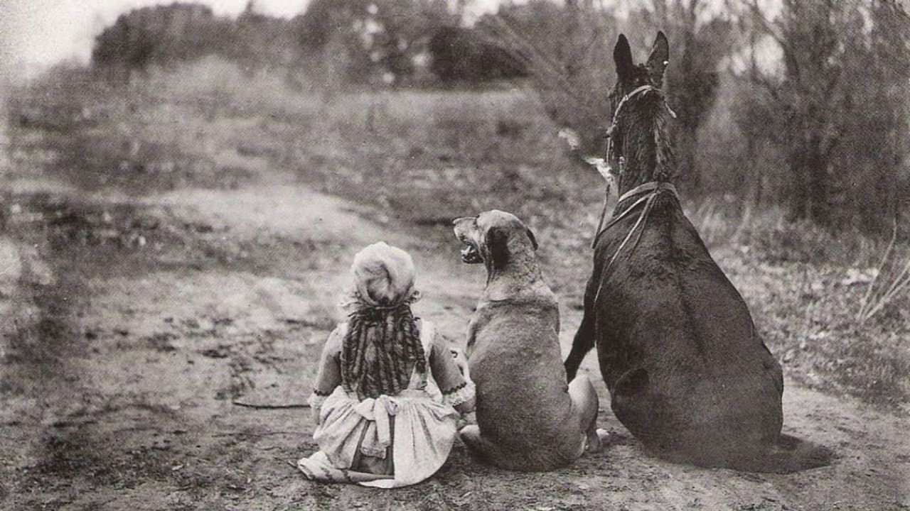 Through the Back Door