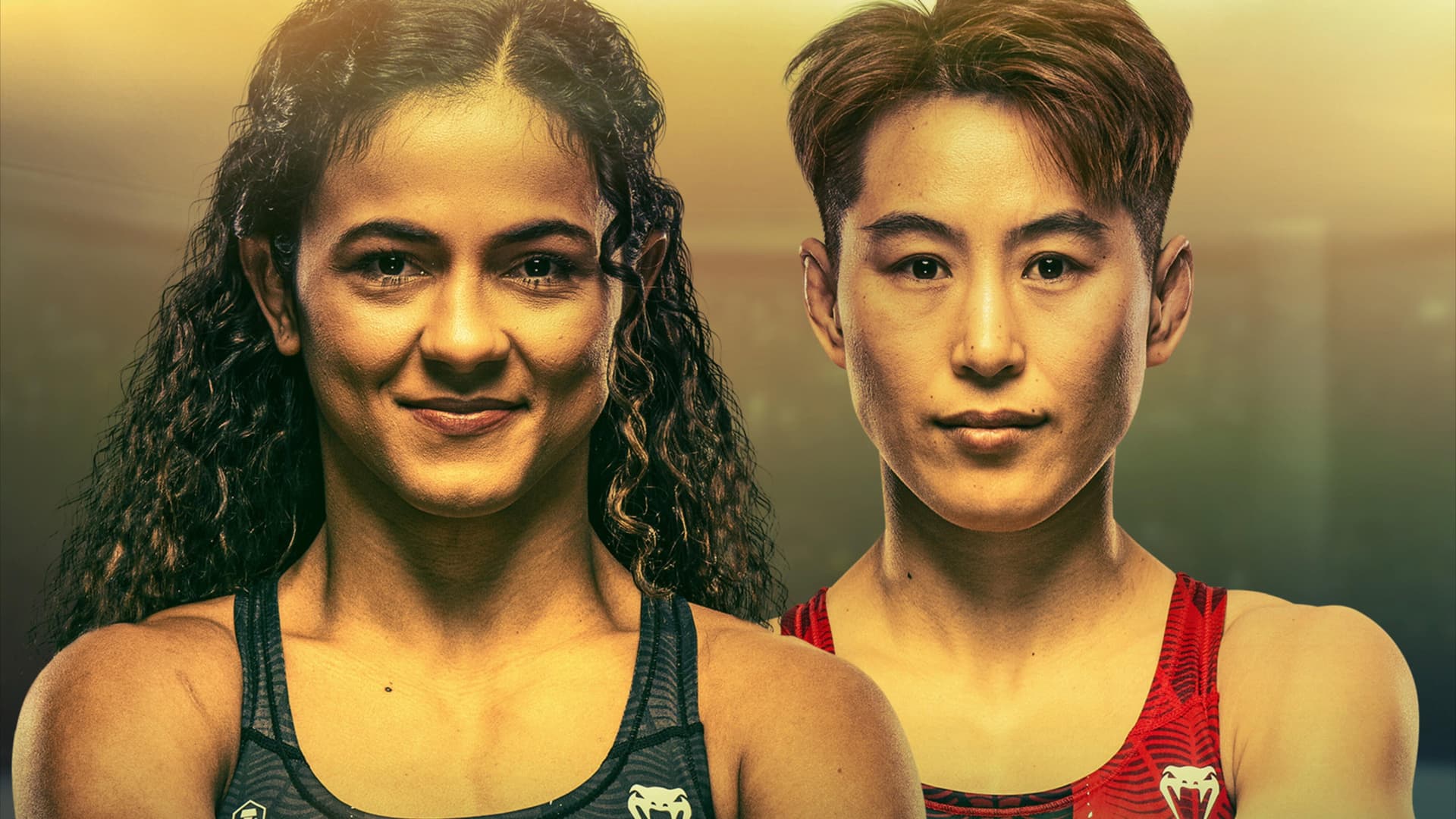 UFC 332: Silva vs. Wang
