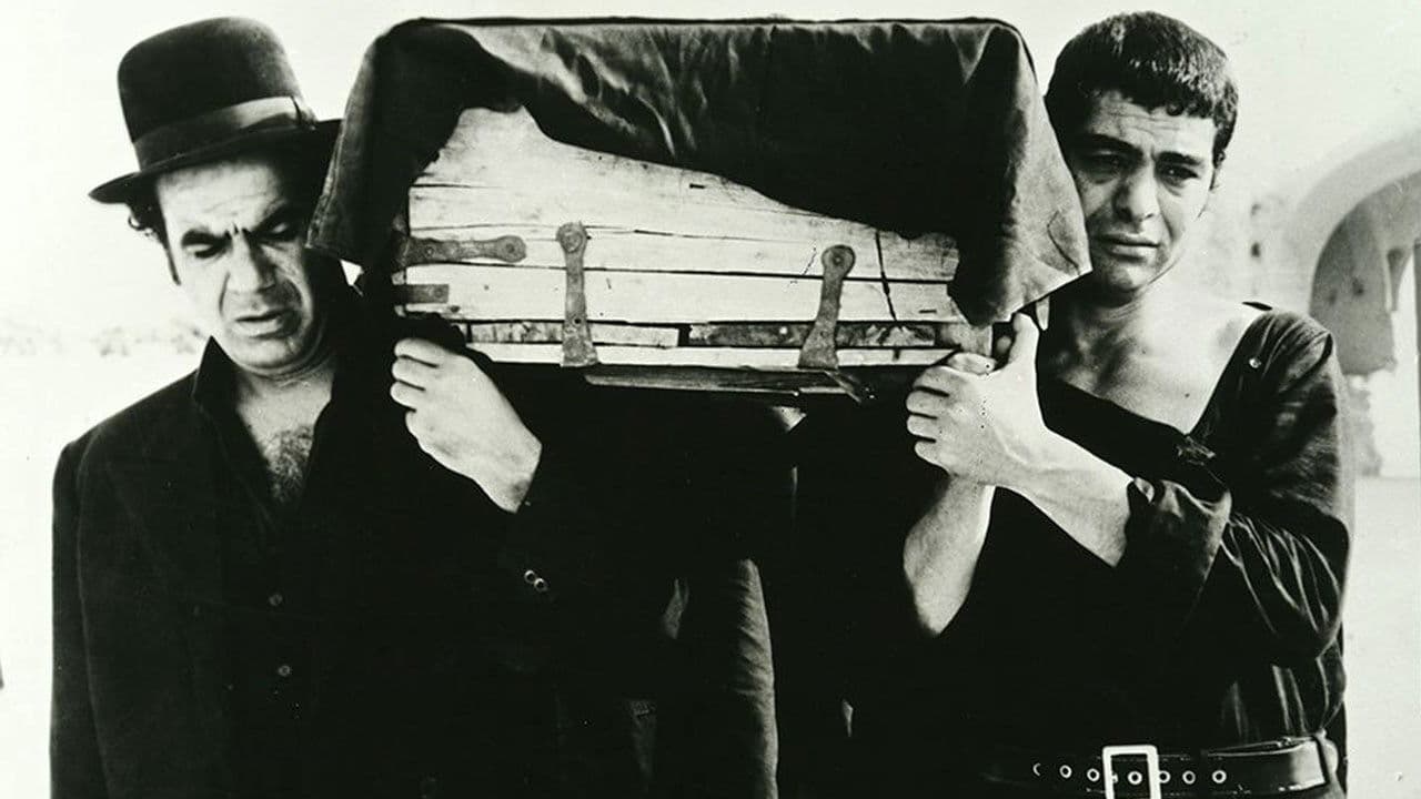 The ring-necked dove