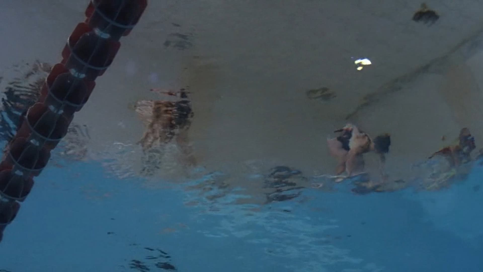 Swimmers