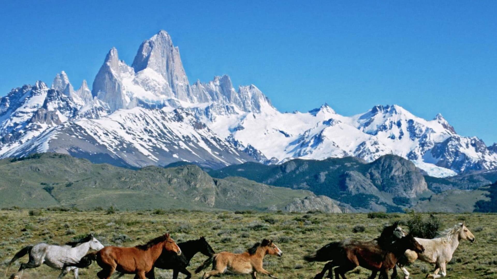 Die Anden - Im Bann der Urkräfte