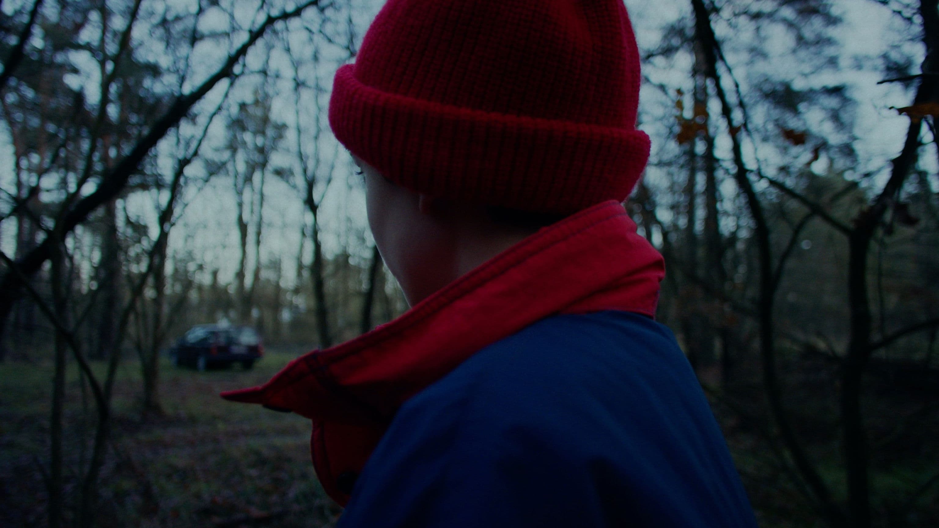 A Blackbird Sat on a Branch
