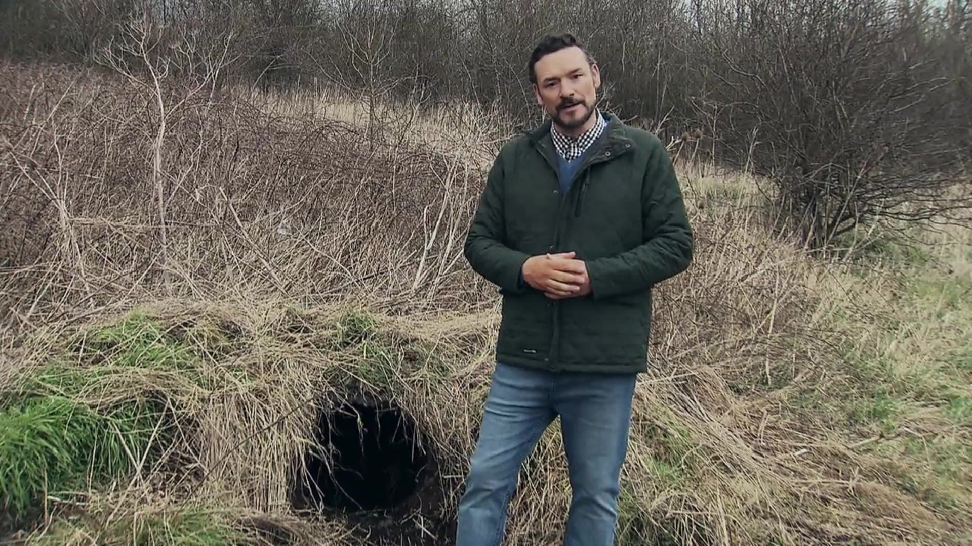 The ABCs of Death Collection