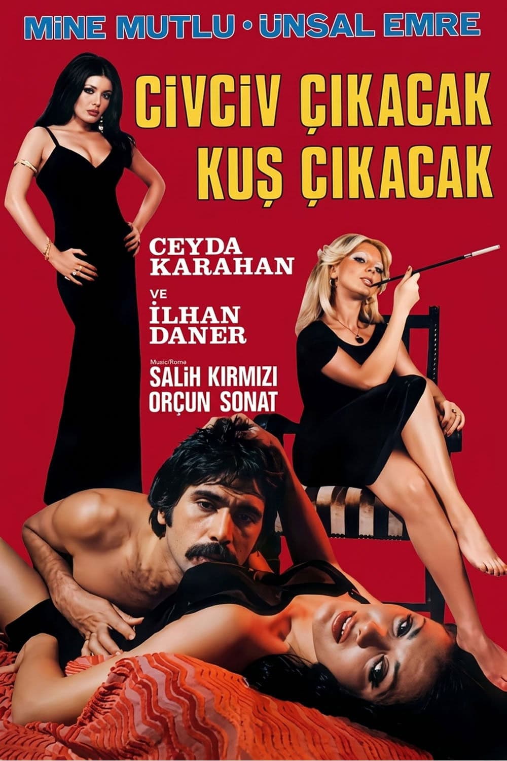 Civciv Çıkacak Kuş Çıkacak