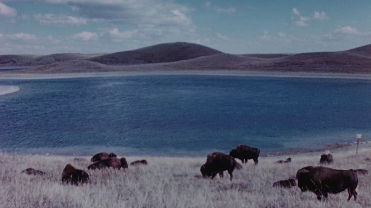 Concerto for Water, Sun and Wilderness