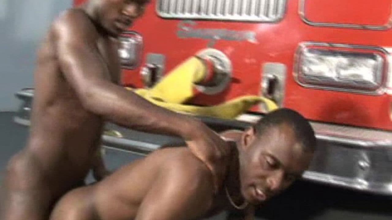 Amateur Black Cock Hounds