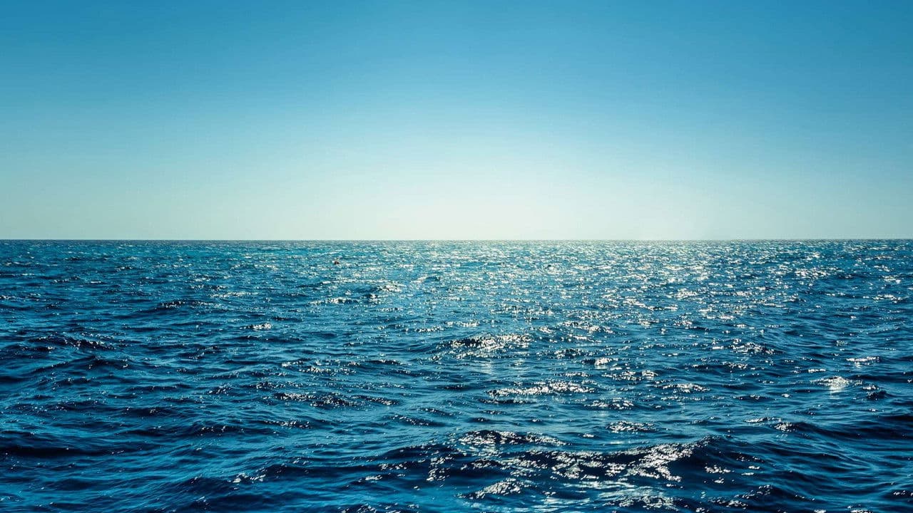 Die Gier nach Meer: Wie der Mensch die Ozeane ausbeutet