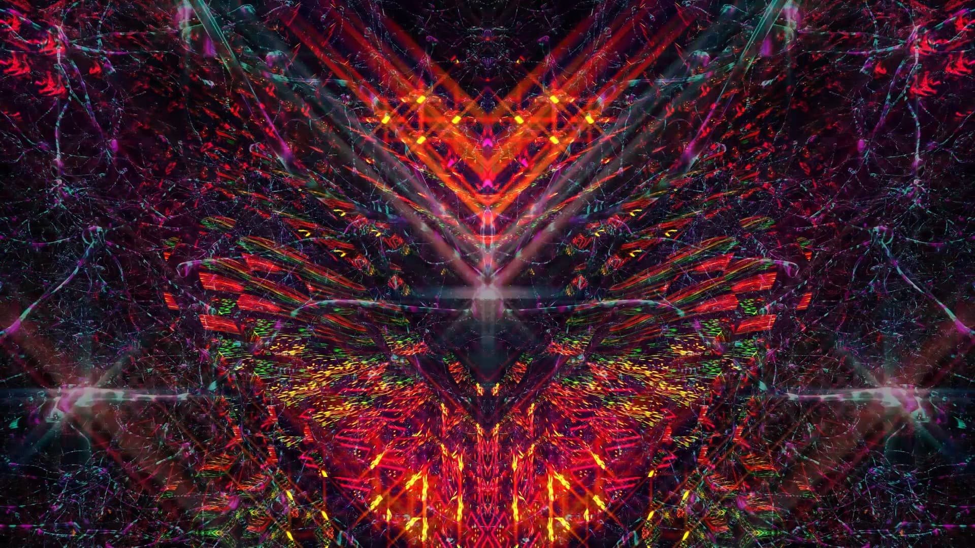 Bufo Alvarius – The Underground Secret