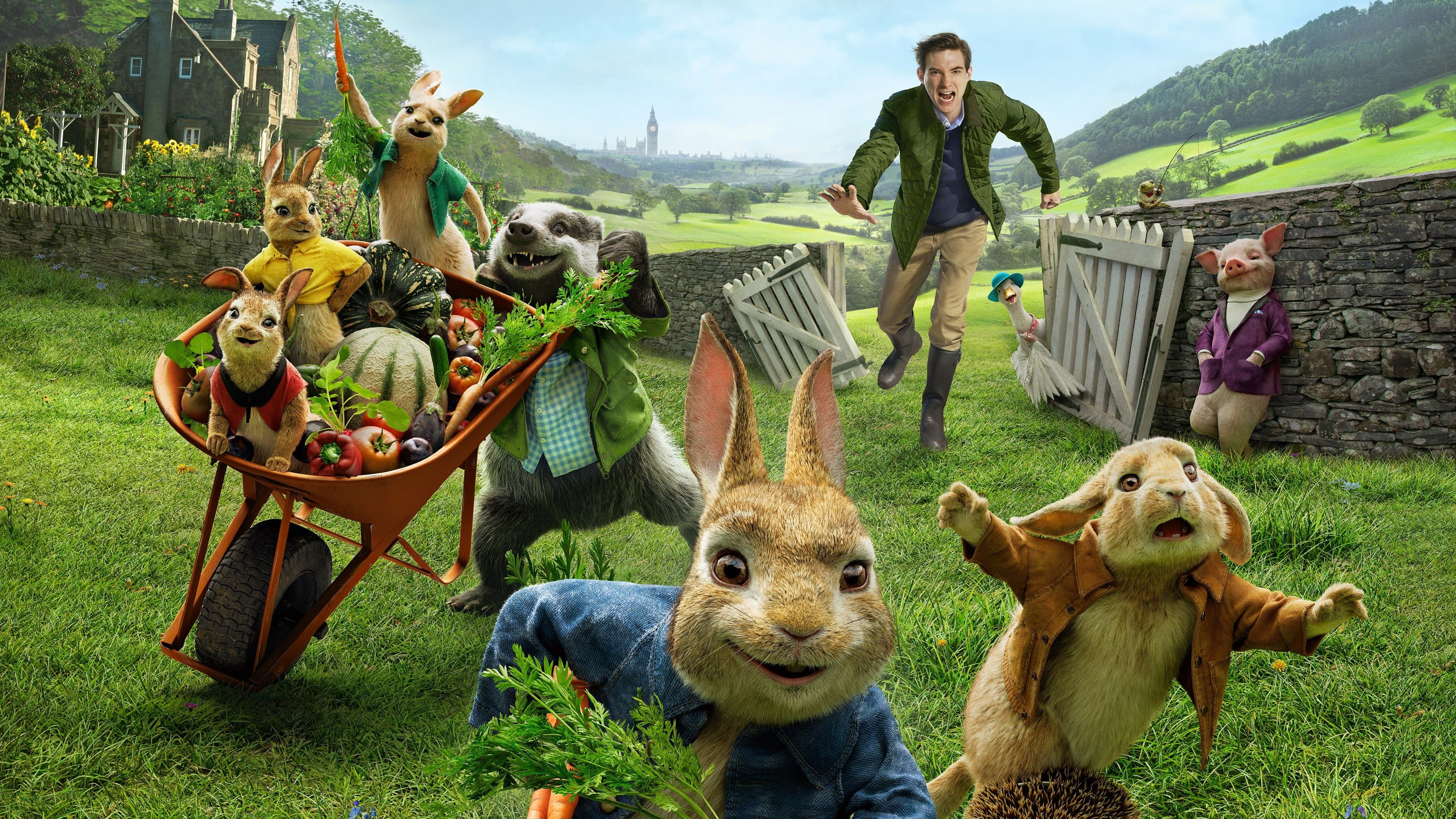 Peter Rabbit Collection