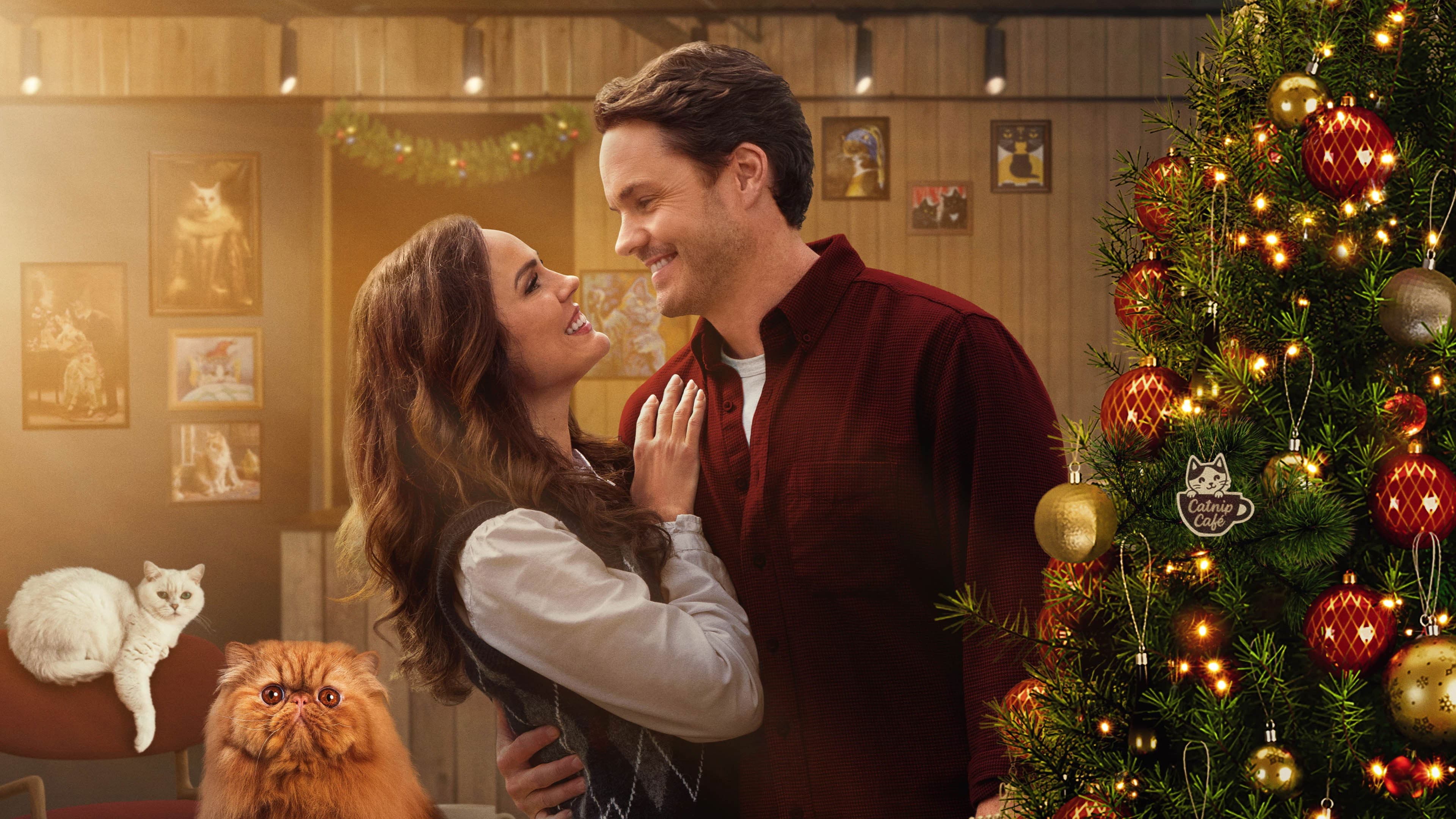 Christmas at the Catnip Café