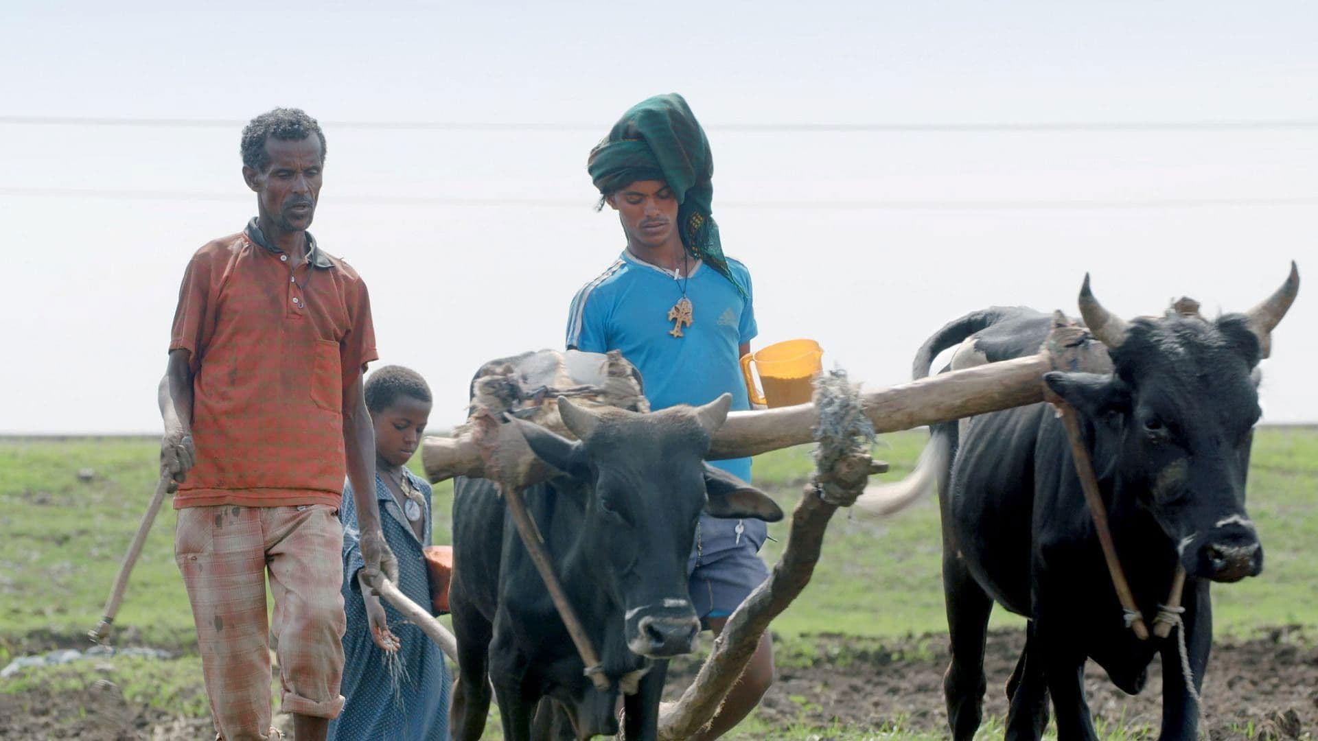Das Stadt-Experiment: Eine Zukunft für Äthiopiens Bauern