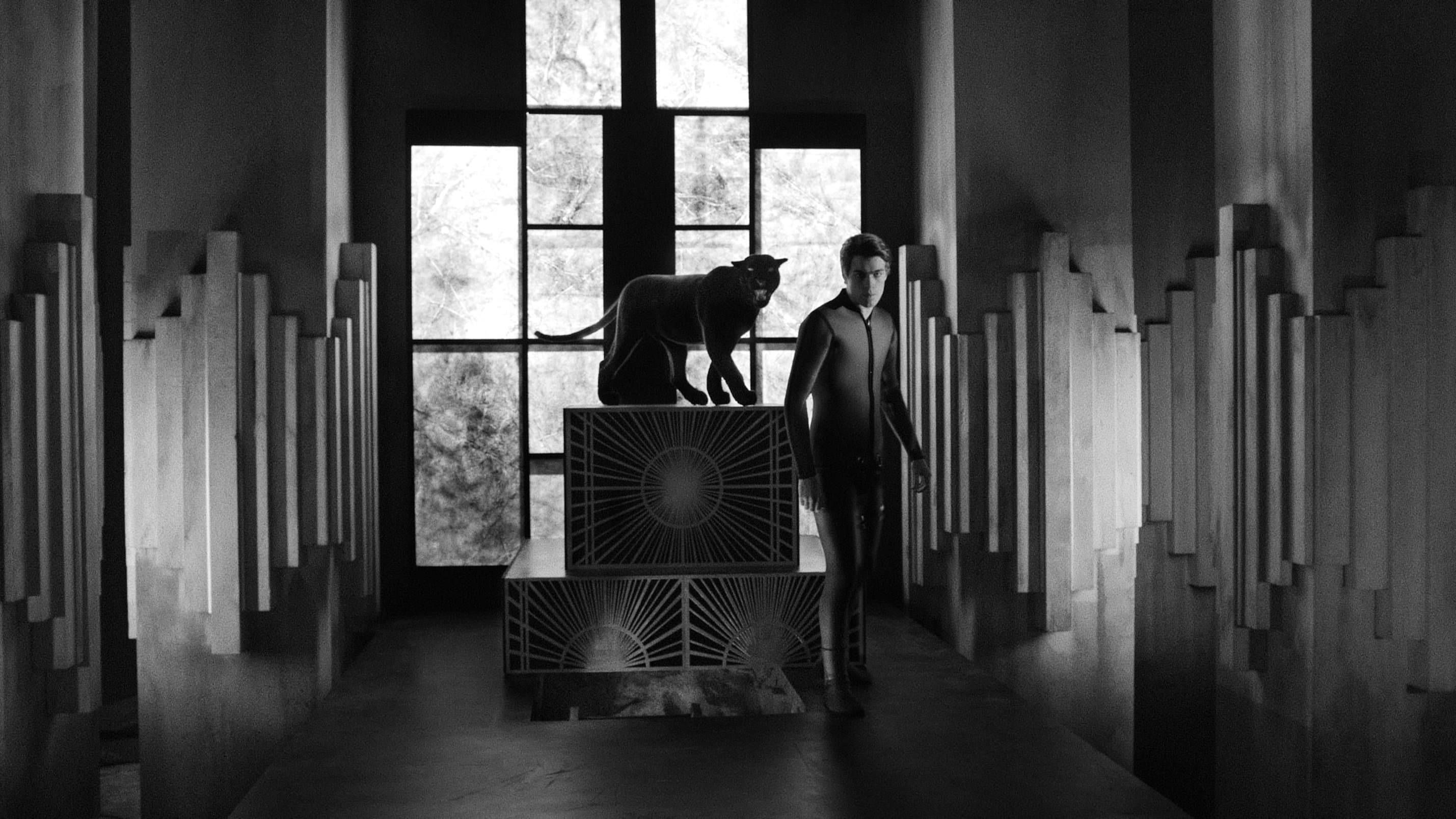 Diabolik: Who Are You?