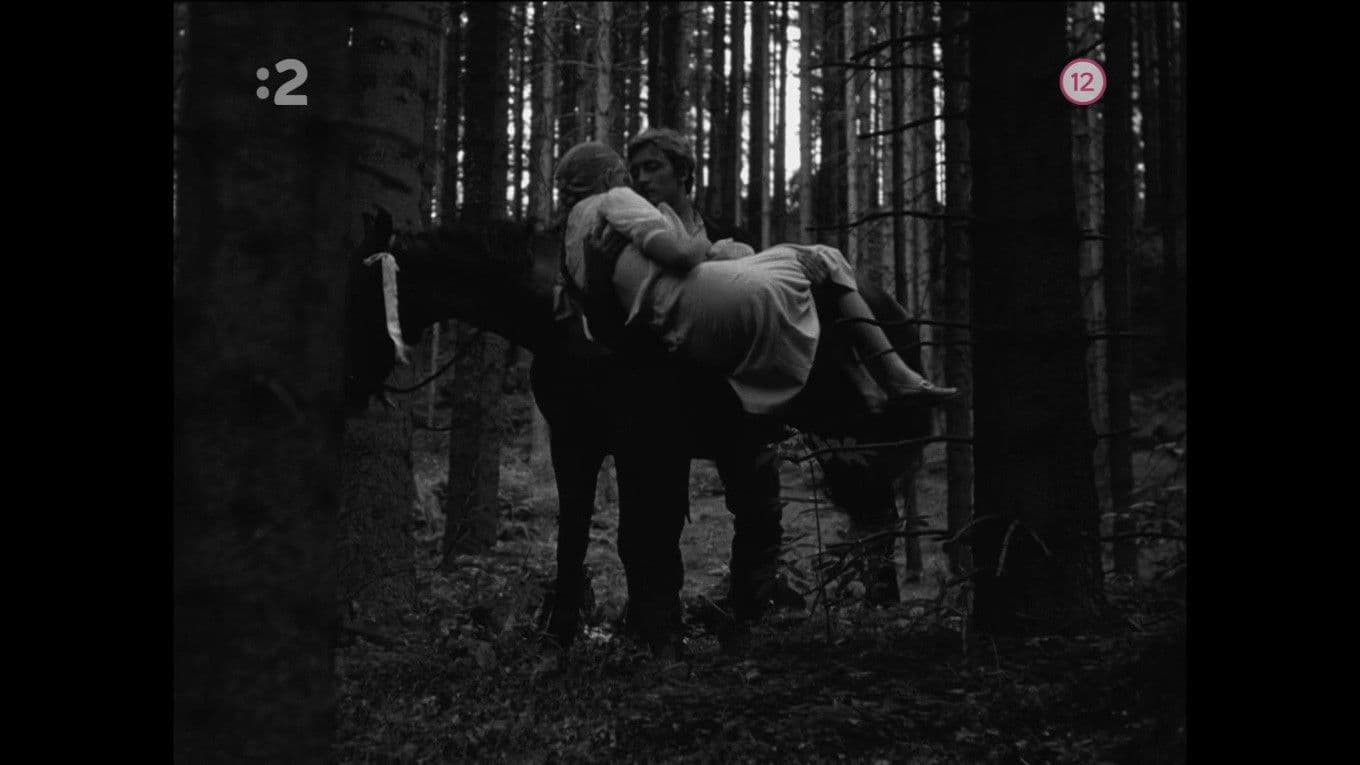 Three Chestnut Horses