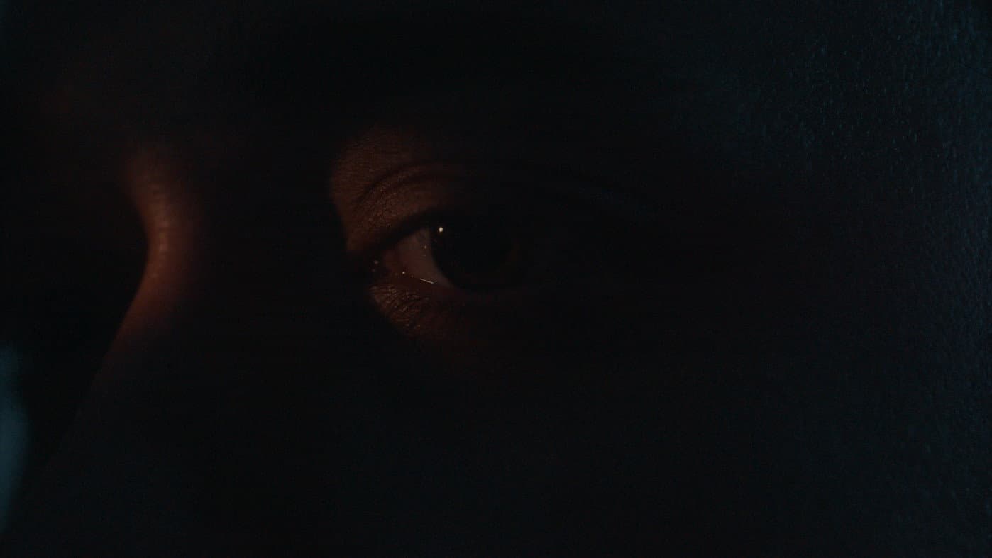 Nocturnal